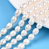 Natural Cultured Freshwater Pearl Beads Strands PEAR-N012-06V-1