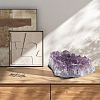Natural Amethyst Cluster Ornaments DJEW-PA0001-07-5