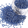 3000Pcs Glass Seed Beads SEED-PA0001-29A-02-1