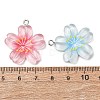 Transparent Resin Pendants RESI-K053-02-3