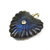 Natural Labradorite Carved Pendants G-C276-01G-06-2