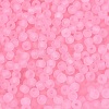 FGB Frosted Transparent Glass Seed Beads SEED-N013-02A-05-3
