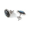 Paua Shell & Brass Stud Earrings for Women EJEW-JE07472-02-4