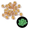 Luminous Transparent Acrylic Beads OACR-P037-01B-H-1