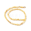 Natural Freshwater Shell Dyed Beads Strands SHEL-M018-13-09-2