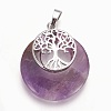 Natural Amethyst Pendants G-F573-C20-2