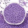 8/0 Baking Paint Glass Seed Beads SEED-M012-02A-47-2
