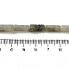 Natural Labradorite Beads Strands G-G873-A02-01-4