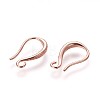 Brass Earring Hooks KK-L177-34RG-1