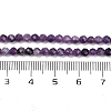 Natural Lepidolite/Purple Mica Stone Beads Strands G-C009-A26-3