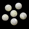 Natural Trochid Shell/Trochus Shell Beads SH-CBA2978-22-1