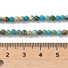 Dyed Natural Regalite/Imperial Jasper/Sea Sediment Jasper Beads Strands G-B124-C05-02-2