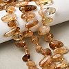 Natural Citrine(Heated) Beads Strands G-P604-A25-01-2
