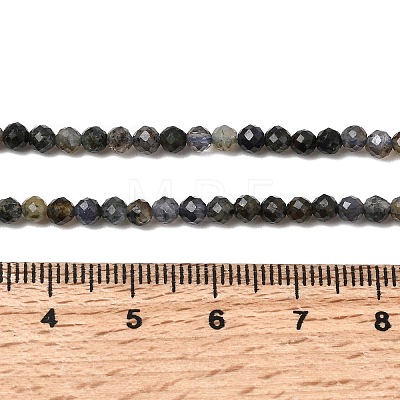 Natural Iolite Beads Strands G-G343-B01-3mm-1