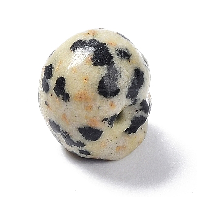 Natural Dalmatian Jasper Beads G-C038-01R-1