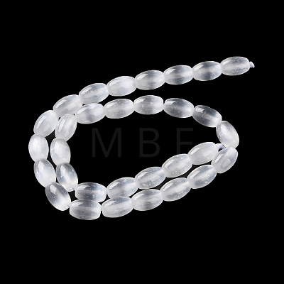 Macaron Color Natural Selenite Beads Strands G-B102-A01-09-1