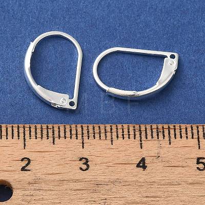 Brass Leverback Earring Findings FIND-Z039-27S-1