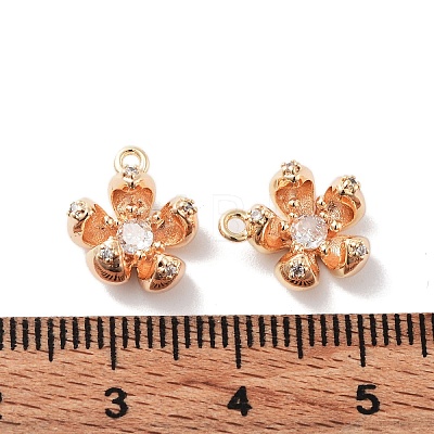 Brass Micro Pave Cubic Zirconia Charms X-KK-F871-34G-1