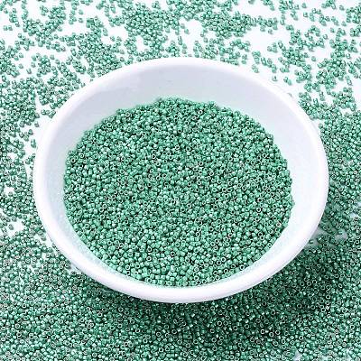 MIYUKI Delica Beads SEED-J020-DB1182-1