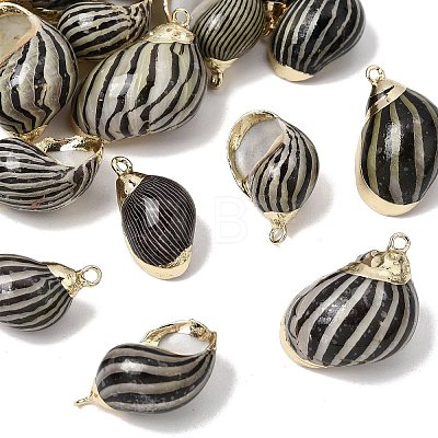 Brass & Natural Shell Pendants SH-CBA27C9-01-1