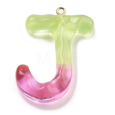 Resin Pendant LS-FIND-Q107-01J-03-1
