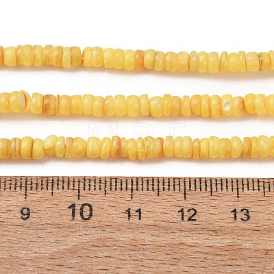 Dyed Natural Freshwater Shell Beads Strands SH-CBA2978-05B-1