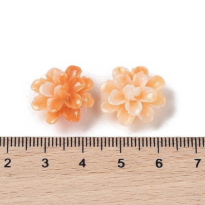 Synthetic Shell Dyed Beads SHEL-C006-01A-1