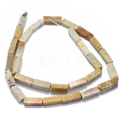 Natural Fossil Coral Beads Strands G-F631-E05-1