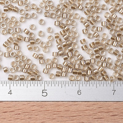 MIYUKI Delica Beads SEED-X0054-DB0907-1