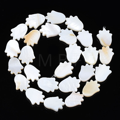 Natural Freshwater Shell Beads Strands SHEL-S278-04-A01-1