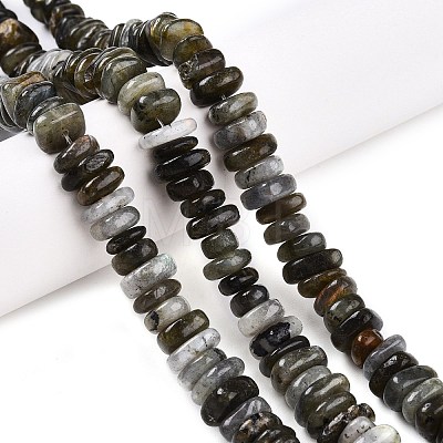 Natural Labradorite Beads Strands G-T141-09-1