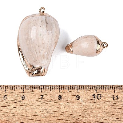 Electroplate Natural Spiral Shell Pendants SSHEL-Q100-51G-1