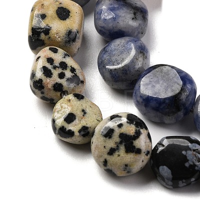 Natural Dalmatian Jasper & Blue Spot Jasper & Green Spot Jasper & Snowflake Obsidian & Picture Jasper Beads Strands G-L610-B11-01-1