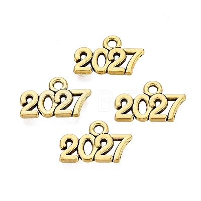 New Year's Day Tibetan Style Alloy Charms FIND-N014-01AG-1