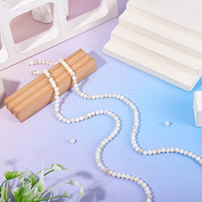 2 Strands AB Color Natural Freshwater Shell Beads Strands BSHE-TA0001-40-1
