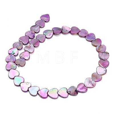 Natural Freshwater Shell Beads Strands SH-CBA93AD-06E-1