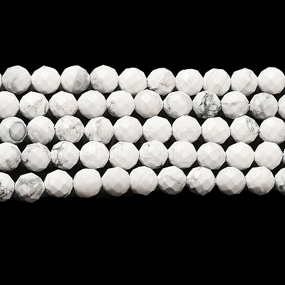 Natural Howlite Beads Strands G-E608-A01-C-1