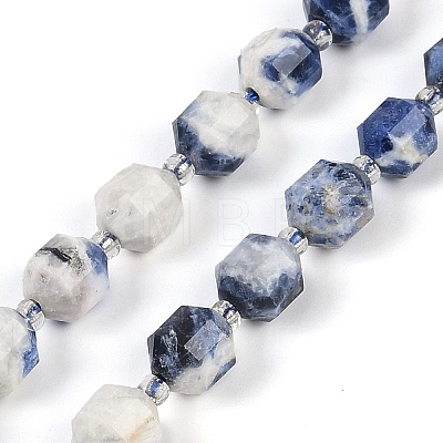 Natural Sodalite Beads Strands G-O201B-112F-1