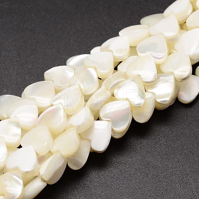 Natural Trochid Shell/Trochus Shell Beads Strands SSHEL-K012-04A-1