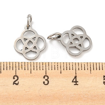 304 Stainless Steel Charms STAS-H184-16P-1