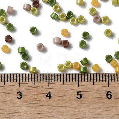 Baking Paint Glass Seed Beads SEED-S042-05A-12-1