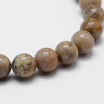 Natural Fossil Coral Beads Strands G-I131-21-8mm-1