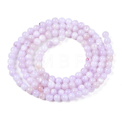 Natural Freshwater Shell Beads Strands X-BSHE-T009A-01G-1