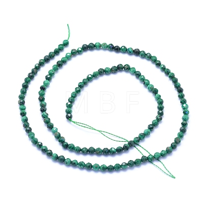 Natural Malachite Beads Strands G-I279-E15-02-1