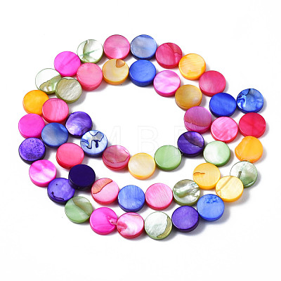 Natural Freshwater Shell Beads Strands SHEL-S278-018-1