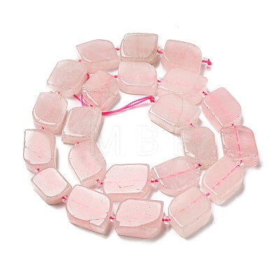Natural Rose Quartz Beads Strands G-G072-B05-02-1