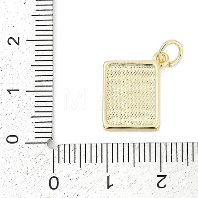 Brass Enamel Charms KK-G522-44G-04-1