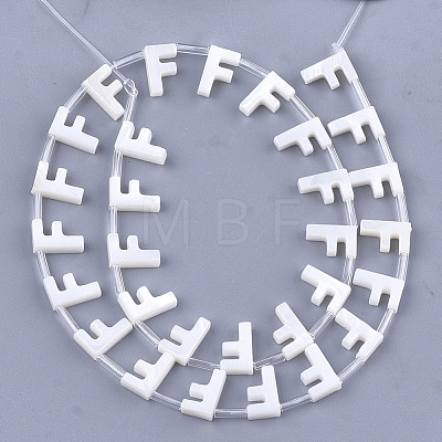 Natural Freshwater Shell Beads SHEL-T012-59F-1