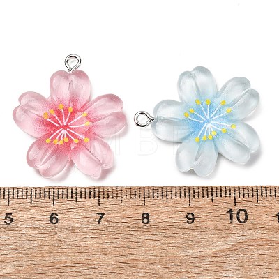 Transparent Resin Pendants RESI-K053-02-1
