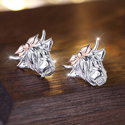 Alloy Stud Earrings FS-WG2CFEC-01-1
